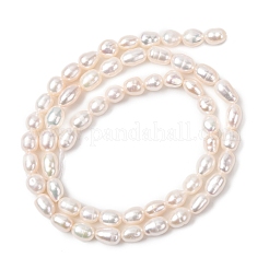 Natural Cultured Freshwater Pearl Beads Strands&nbsp;PEAR-F020-03