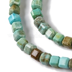 Natural Howlite Beads Strands&nbsp;G-G001-A02-05
