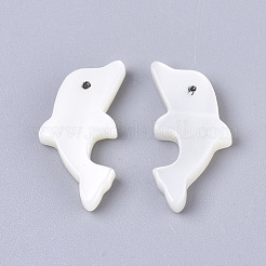 Natural Trochid Shell/Trochus Shell Beads&nbsp;SSHEL-N034-61
