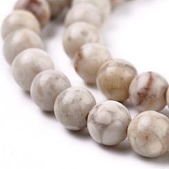 Natural Maifanite/Maifan Stone Beads Strands&nbsp;G-I187-6mm-01