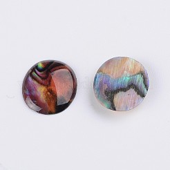 Oval Abalone Shell/Paua Shell Cabochons&nbsp;SSHEL-K002-12x10mm-03