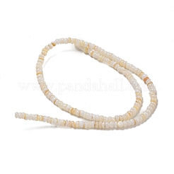 染め天然淡水シェルビーズ連売り  ロンデル  ホワイトスモーク  1~4.5x4~4.5x2~4.5mm  穴：0.5mm  約159個/連  15.12''（38.4センチメートル）&nbsp;BSHE-G039-07N