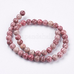 Natural Fossil Coral Beads Strands&nbsp;G-F563-01-8mm