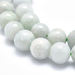 Natural Jadeite Beads Strands&nbsp;G-M353-A10-8mm