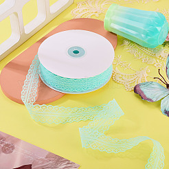 Polyester Lace Ribbon&nbsp;OCOR-TAC0025-008E