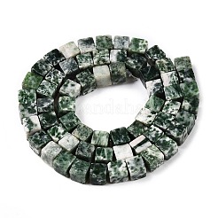 Natural Green Spot Jasper Beads Strands&nbsp;G-T139-6x6-23A