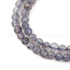 Natural Iolite Beads Strands&nbsp;G-D320-A01-2mm