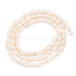 Natural Cultured Freshwater Pearl Beads Strands&nbsp;PEAR-D003-01D-04