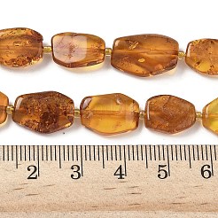 Natural Amber Beads Strands&nbsp;G-L095-C01-04