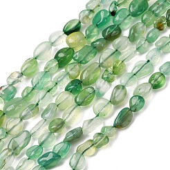 Natural Green Onyx Agate Beads Strands&nbsp;G-K395-A08-01