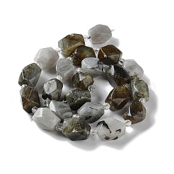Natural Larvikite Beads Strands&nbsp;G-C182-17-01