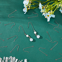 300Pcs 316 Surgical Stainless Steel Earring Hooks&nbsp;STAS-DC0011-38