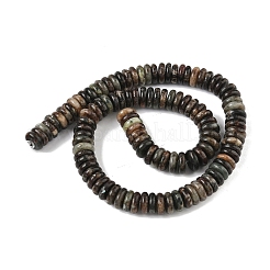 Natural Biotite Beads Strands&nbsp;G-B155-B04-4x10mm