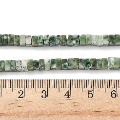 Natural Green Spot Jasper Beads Strands&nbsp;G-I394-A04