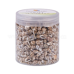 Natural Spiral Shell Beads&nbsp;SSHEL-PH0002-10