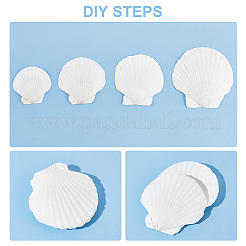 20Pcs 4 Style Natural Scallop Shells&nbsp;SSHEL-PH0001-23