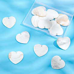 20Pcs Freshwater Shell Pendants&nbsp;SHEL-SC0001-19