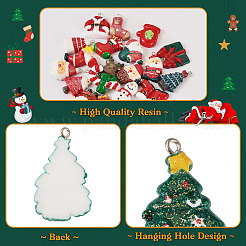 21Pcs 21 Styles Opaque Resin Glitter Powder Pendants&nbsp;RESI-TA0001-98