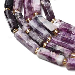 Natural Lepidolite/Purple Mica Stone Beads Strands&nbsp;G-D353-A17