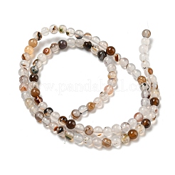 Natural Dendritic Agate Beads Strands&nbsp;G-A232-A01-01