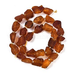Raw Rough Natural Amber Beads Strands&nbsp;G-B125-C01-01