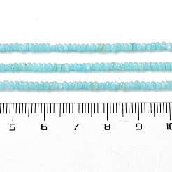 Natural Freshwater Shell Beads Strands&nbsp;SHEL-P017-01A-03