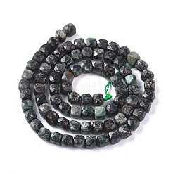 Natural Seraphinite Beads Strands&nbsp;G-L537-014
