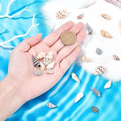 140Pcs 2 Style Natural Shell Beads&nbsp;SSHEL-FH0001-08