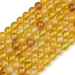 Handmade Lampwork Beads Strand&nbsp;LAMP-B056-8mm