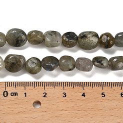 Natural Labradorite Beads Strands&nbsp;G-P497-01E-47