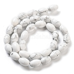 Natural Howlite Beads Strands&nbsp;G-B106-B25-01