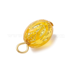 透明なアクリルパーツ  オーバル  真鍮ボールヘッドピン付き  ゴールドライン入り  ミックスカラー  19x10.5mm  穴：3.5mm&nbsp;PALLOY-JF04346