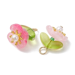 Baking Paint Glass Pendants&nbsp;PALLOY-JF05210