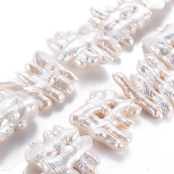 天然ケシパールビーズ連売り  養殖淡水パール  ナゲット  貝殻色  26~36x29~38x8~14mm  穴：0.6mm  約12~13個/連  15.35インチ（39cm）。&nbsp;PEAR-S020-E01