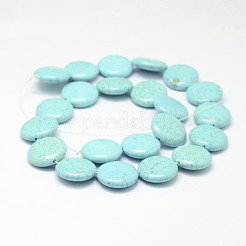 天然マグネサイトビーズ連売り  フラットラウンド  染め  18x6mm  穴：1mm  約22個/連  15.3インチ（39cm）&nbsp;TURQ-P027-15-18mm