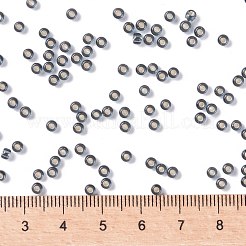 MIYUKIラウンドロカイユビーズ  日本製シードビーズ  （rr21)シルバーライニンググレー  8/0  3mm  穴：1mm  約422~455PCS /ボトル  10 G /ボトル&nbsp;SEED-JP0009-RR0021