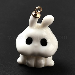Halloween Theme Opaque Resin Pendants&nbsp;CRES-B005-03A