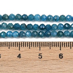 天然石アパタイトビーズ連売り  多面カット  ラウンド  3.5mm  穴：0.6mm  約121~124個/連  15''（38.1センチメートル）&nbsp;G-E411-36-3mm-01