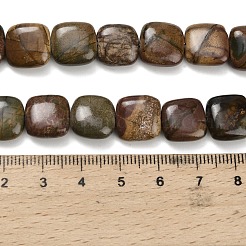 Natural Picasso Stone/Polychrome Jasper Beads Strands&nbsp;G-Z110-H02
