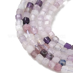 Natural Lepidolite Stone Beads Strands&nbsp;G-RM241221-K14