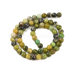 Natural Serpentine Beads Strands&nbsp;G-G829-06-6mm