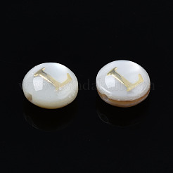 Natural Freshwater Shell Beads&nbsp;SHEL-S278-036L