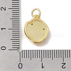 Brass Micro Pave Cubic Zirconia Charms&nbsp;KK-D431-047G-01