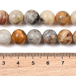Natural Crazy Lace Agate Beads Strands&nbsp;G-S259-38-10mm