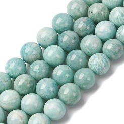 天然石アマゾナイトビーズ連売り  ラウンド  10mm  穴：1mm  約39個/連  15.35''（39センチメートル）&nbsp;LS-G-K068-03-10mmA