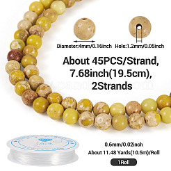 DIY Natural Regalite/Imperial Jasper/Sea Sediment Jasper Beads Bracelets  Making KIts&nbsp;DIY-TA0002-69E