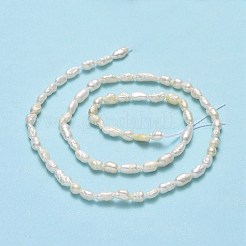 天然養殖淡水パールビーズ連売り  ライス  リネン  4~7x2.8~3.2mm  穴：0.5mm  約64~67個/連  13.98''~14.17
