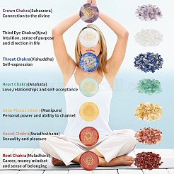 Chakra Themed Natural & Synthetic Mixed Gemstone Beads&nbsp;G-WH0007-07