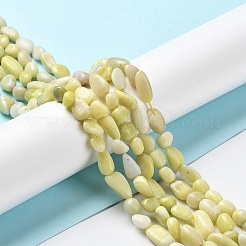 Natural Jade Beads Strands&nbsp;G-P497-01A-06
