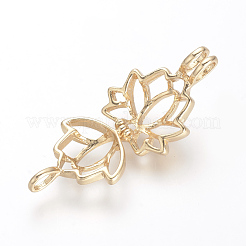 Alloy Diffuser Locket Pendants&nbsp;PALLOY-S062-40G